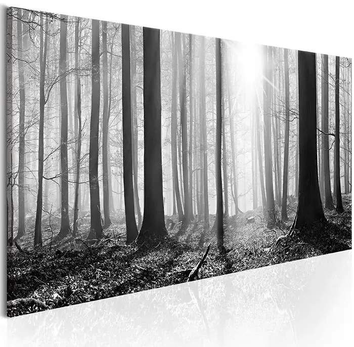 Obraz - Black and White Forest Veľkosť: 135x45, Verzia: Premium Print