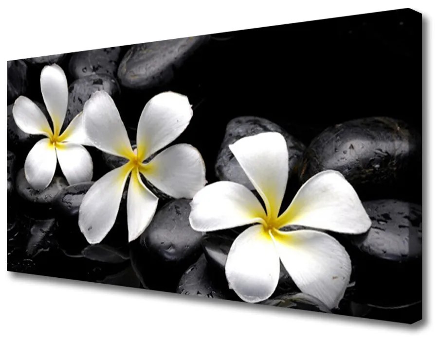 Obraz na plátne Kvet kamene rastlina 140x70cm