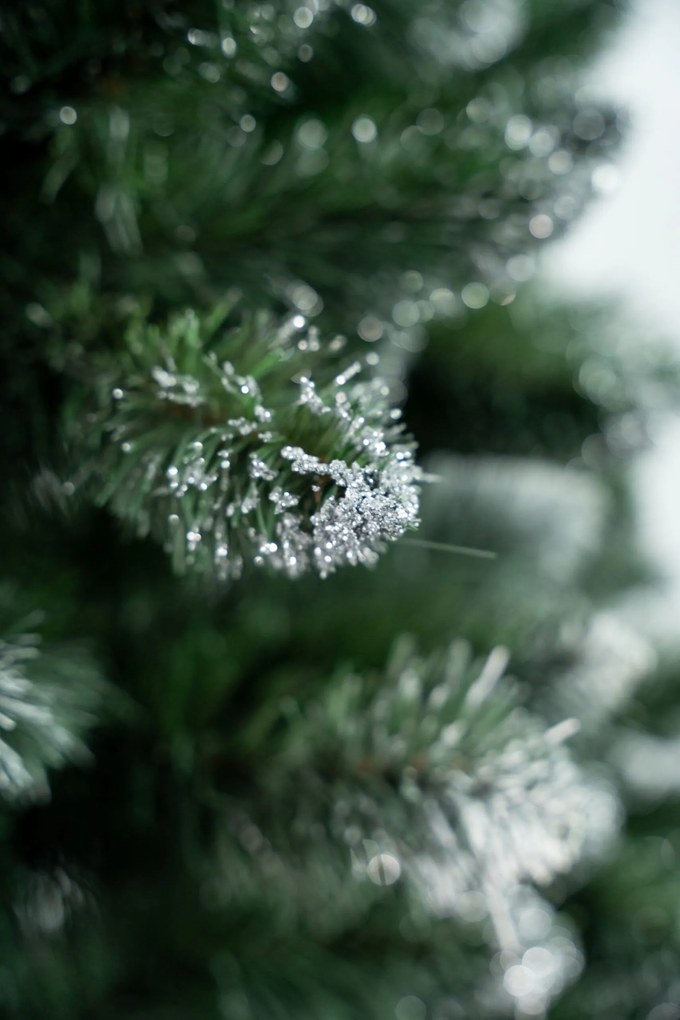 Limpol Vianočný stromček Borovica Verona Výška stromčeka: 240 cm