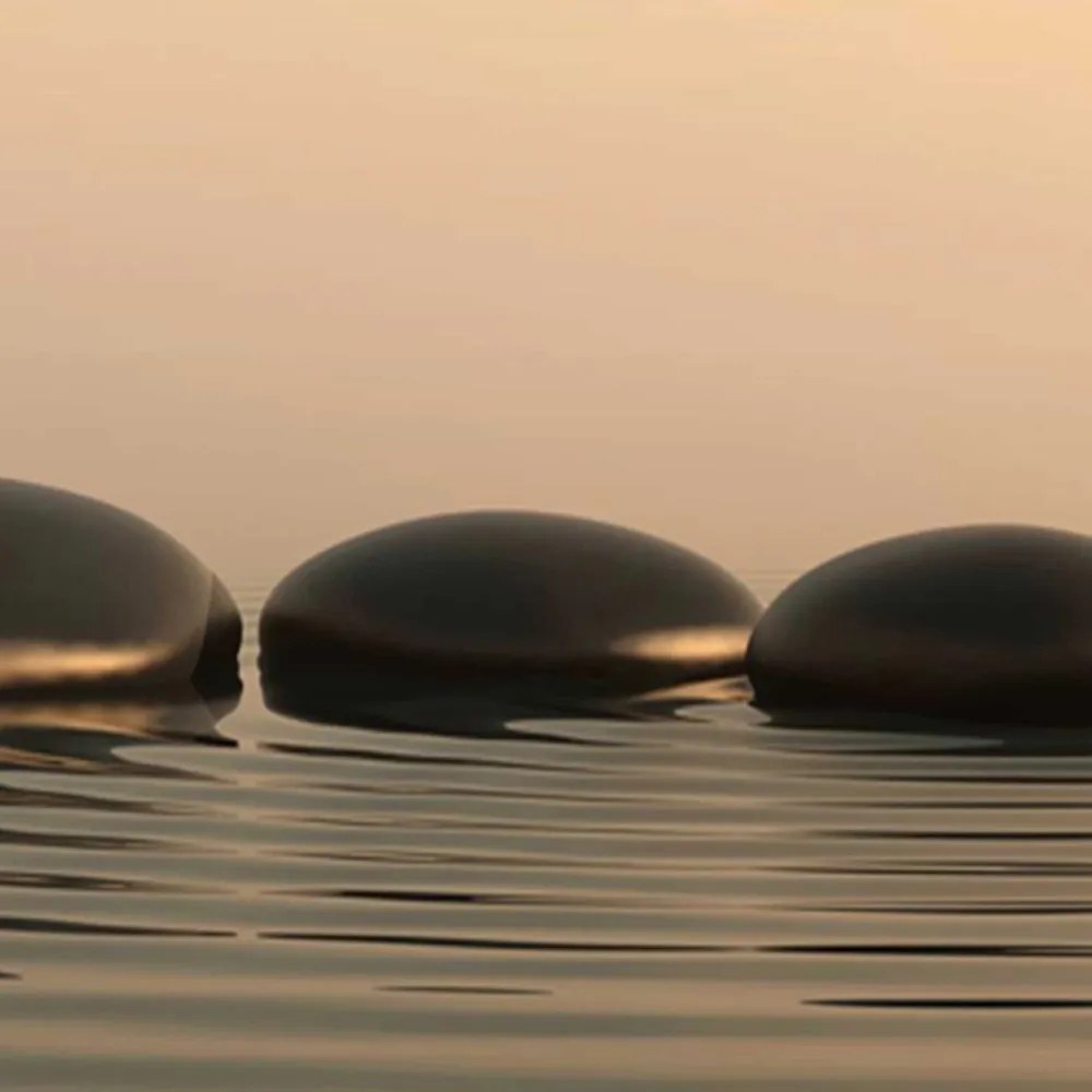 Ozdobný paraván Zenové kameny Voda - 180x170 cm, päťdielny, obojstranný paraván 360°