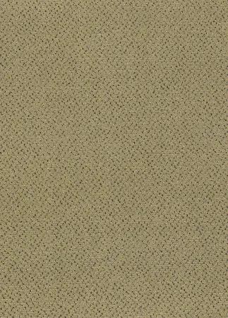 Koberce Breno Metrážny koberec FORTESSE SDE NEW 138, šíře role 400 cm, béžová