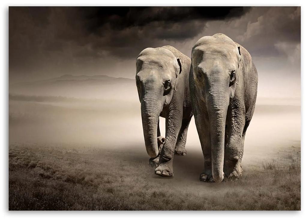 Gario Obraz na plátne Slony v púšti Rozmery: 60 x 40 cm