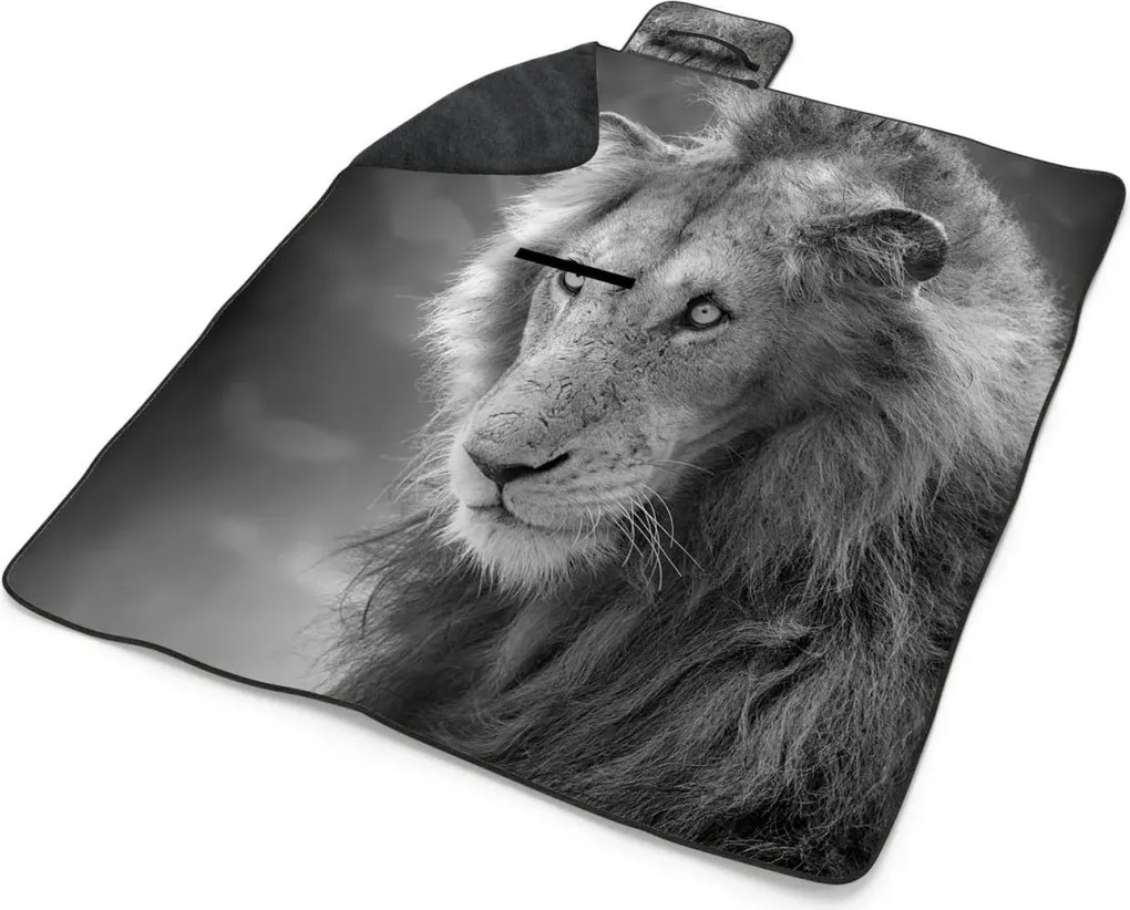 Sablio Plážová deka Levíček: 200x140 cm