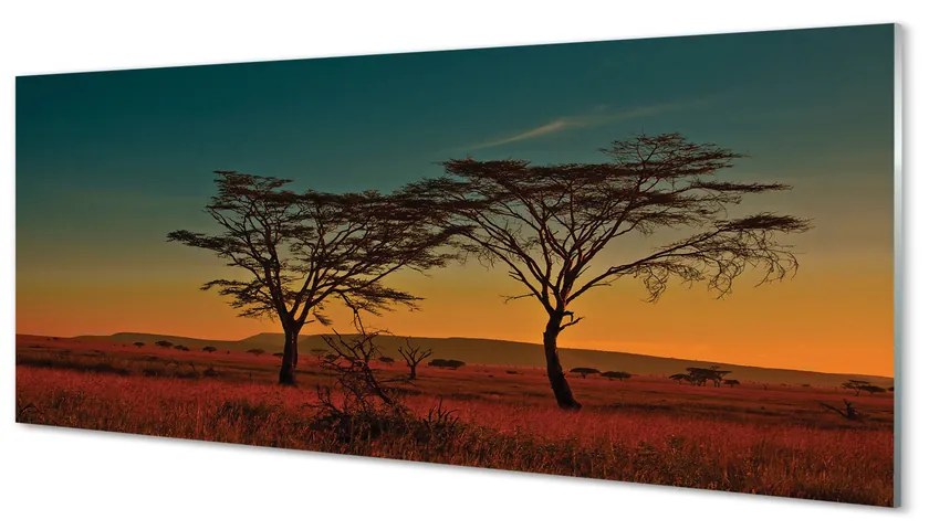 Obraz plexi Oblohy stromu 120x60 cm