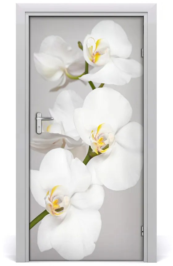 Fototapeta na dvere biela orchidea 85x205 cm