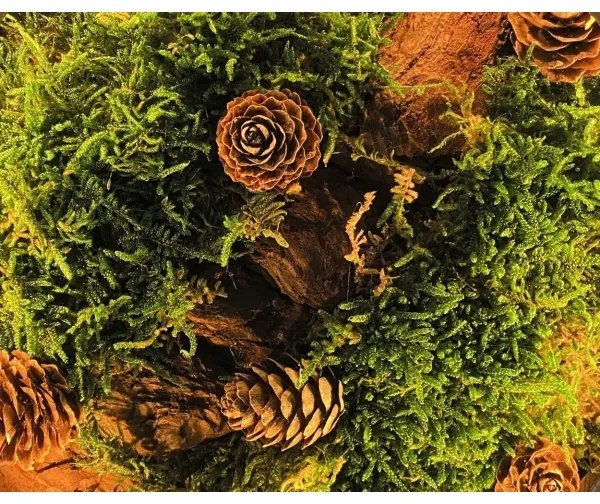 Li-Go 23654 - LED Stmievateľná stolná dekorácia LED/12W/230V 20x22 cm mach