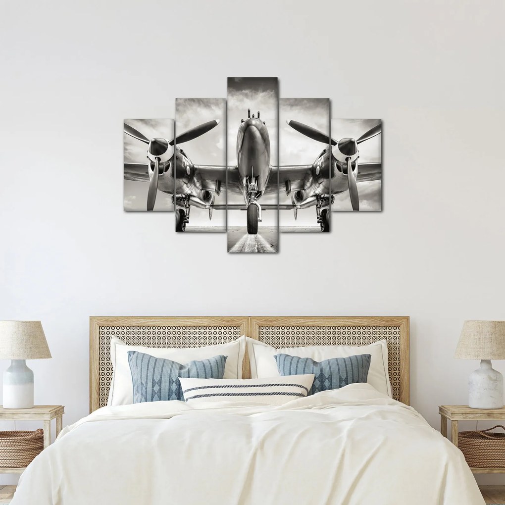 Obraz - Warbird (150x105 cm)
