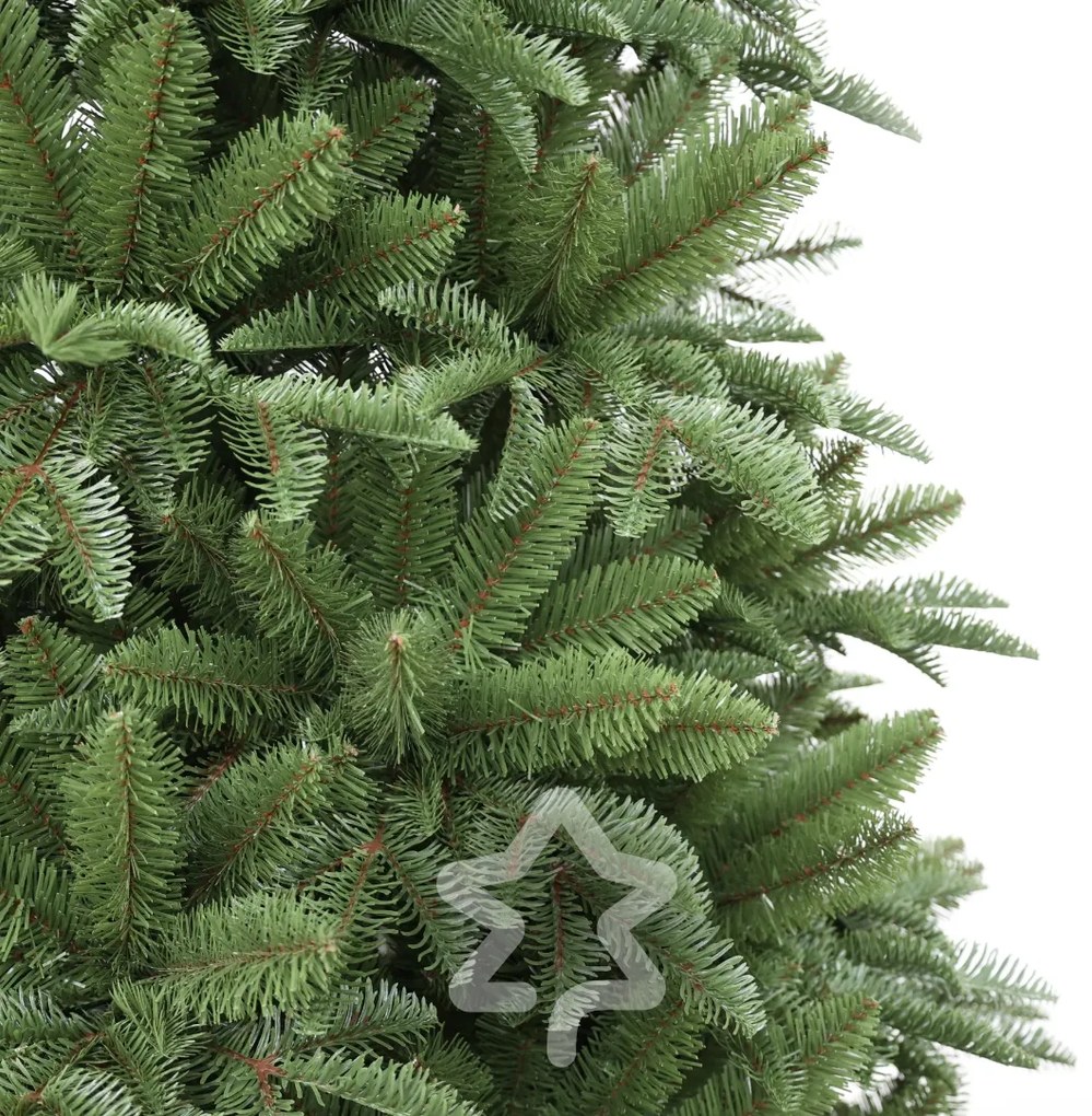 Jedľa Normandská extra hustá 240 cm