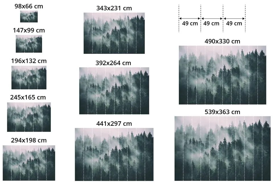 Fototapeta žlté rozkvitnuté pole