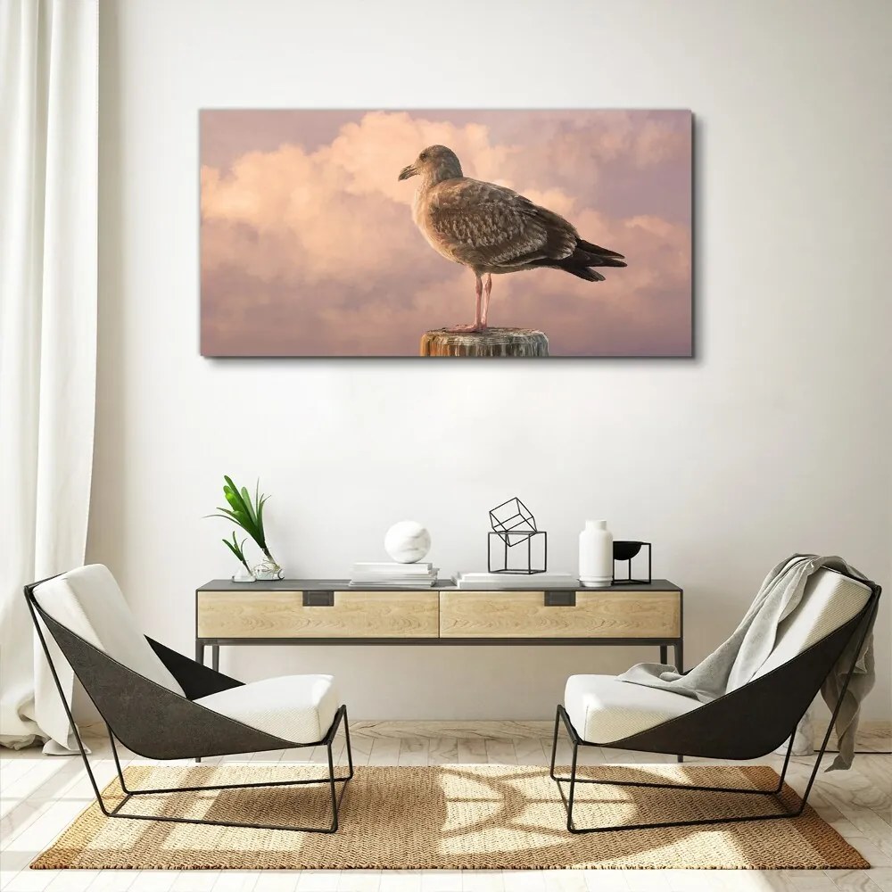 Obraz canvas Zvieracie vták Seagull Nebo