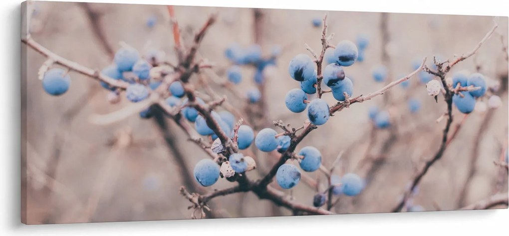 Obraz bobúľ na kríku (120x50 cm)