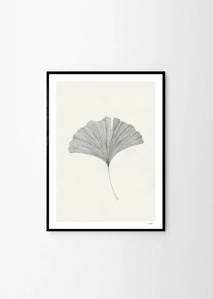 Plagát 50x70 cm Ginkgo Leaf – Ana Frois – The Poster Club