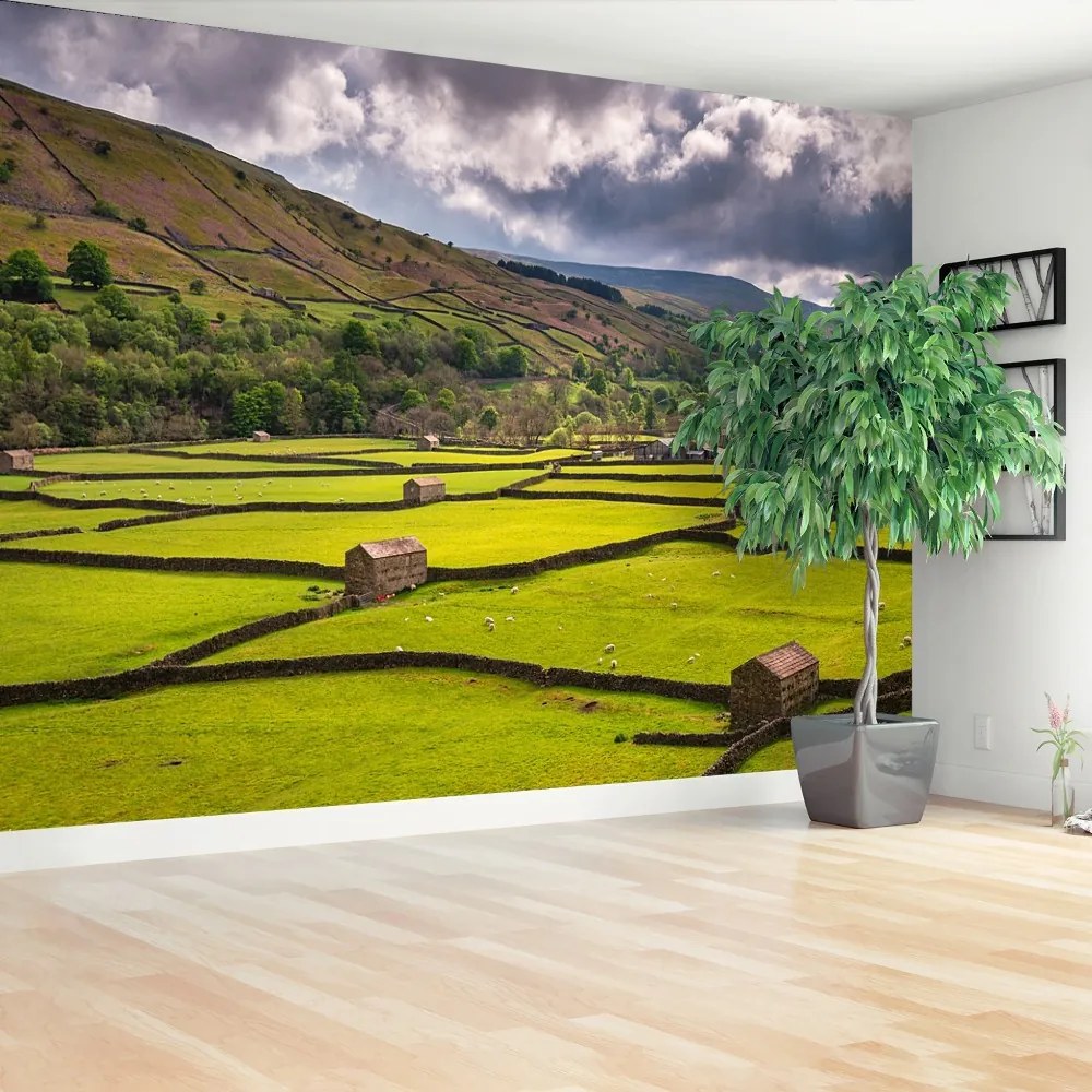 Fototapeta Vliesová Yorkshire poľa 152x104 cm