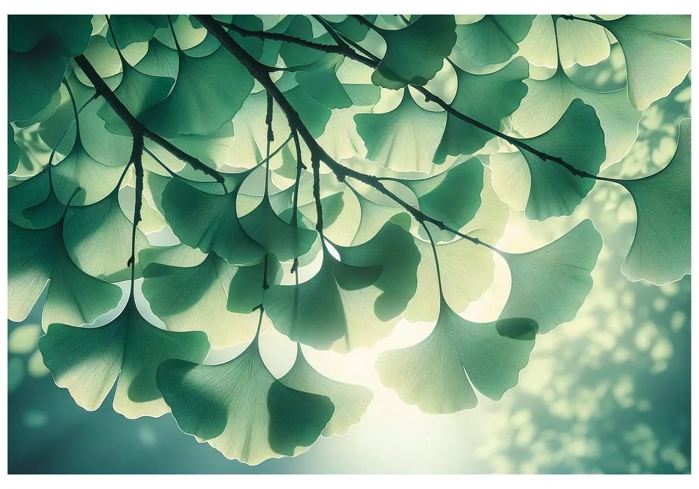 Tapeta zelené listy ginka v žiare svetla