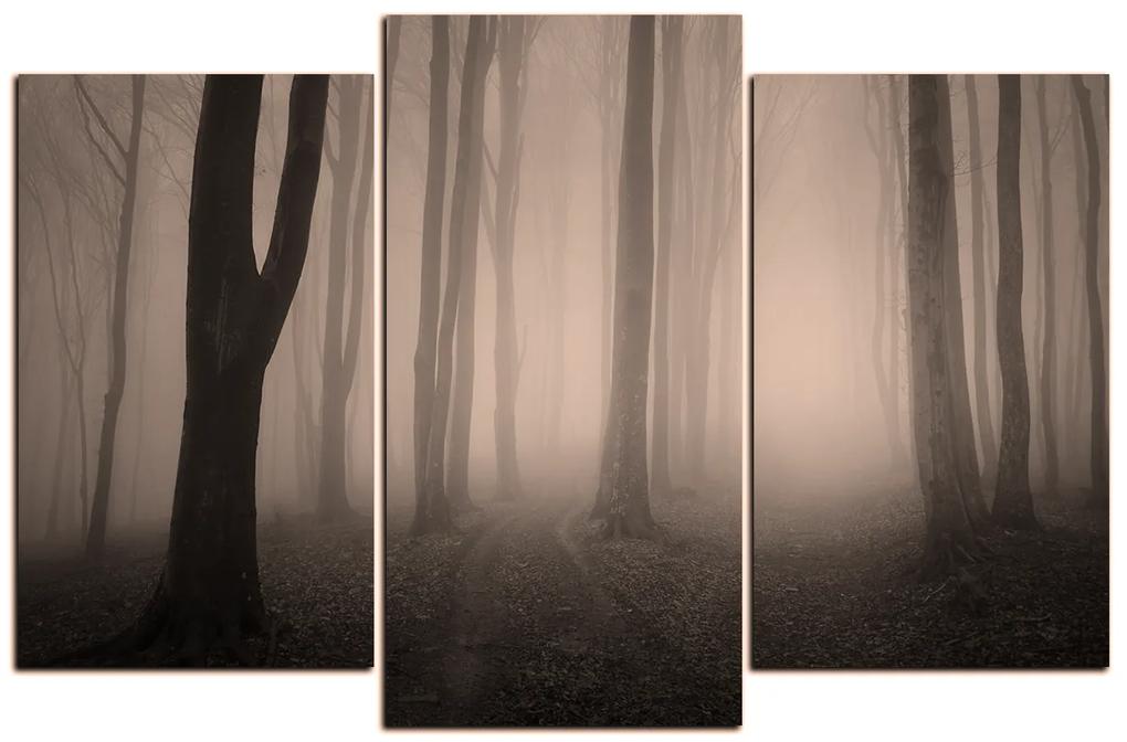 Obraz na plátne - Hmla v lese 1182FC (120x80 cm)