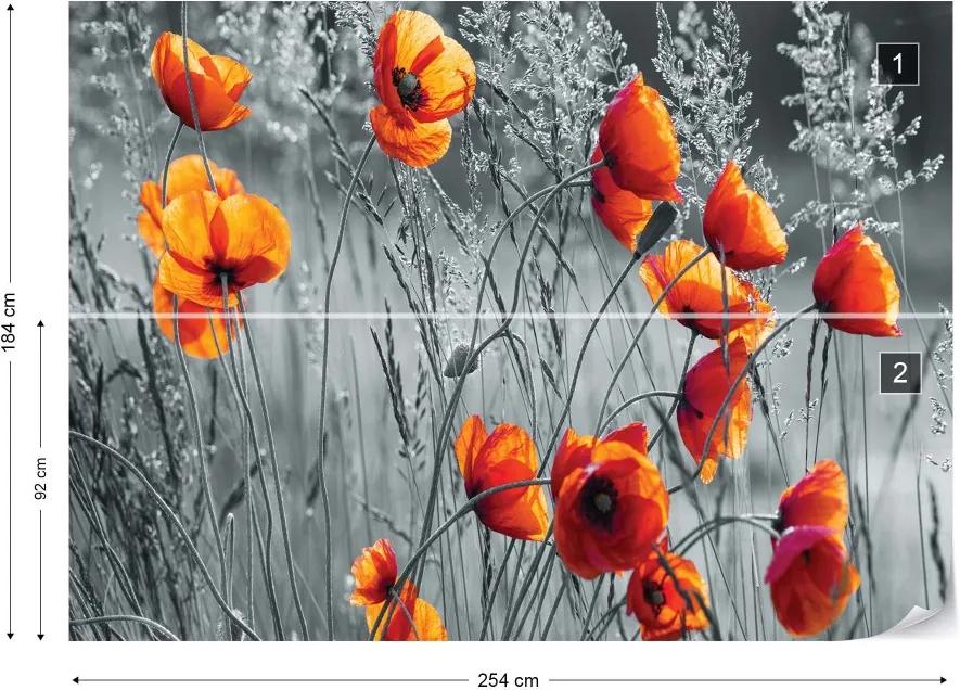 GLIX Fototapeta - Orange Poppies Black And White Vliesová tapeta  - 254x184 cm