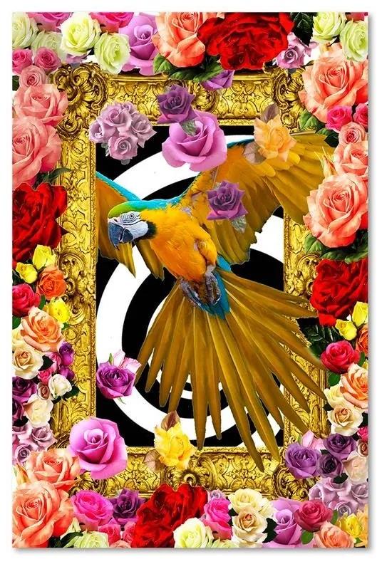 Obraz na plátně Papoušek Barevné květiny Růže - 80x120 cm