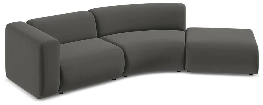 Sivá zamatová leňoška (pravý roh) Ekahi – Makamii