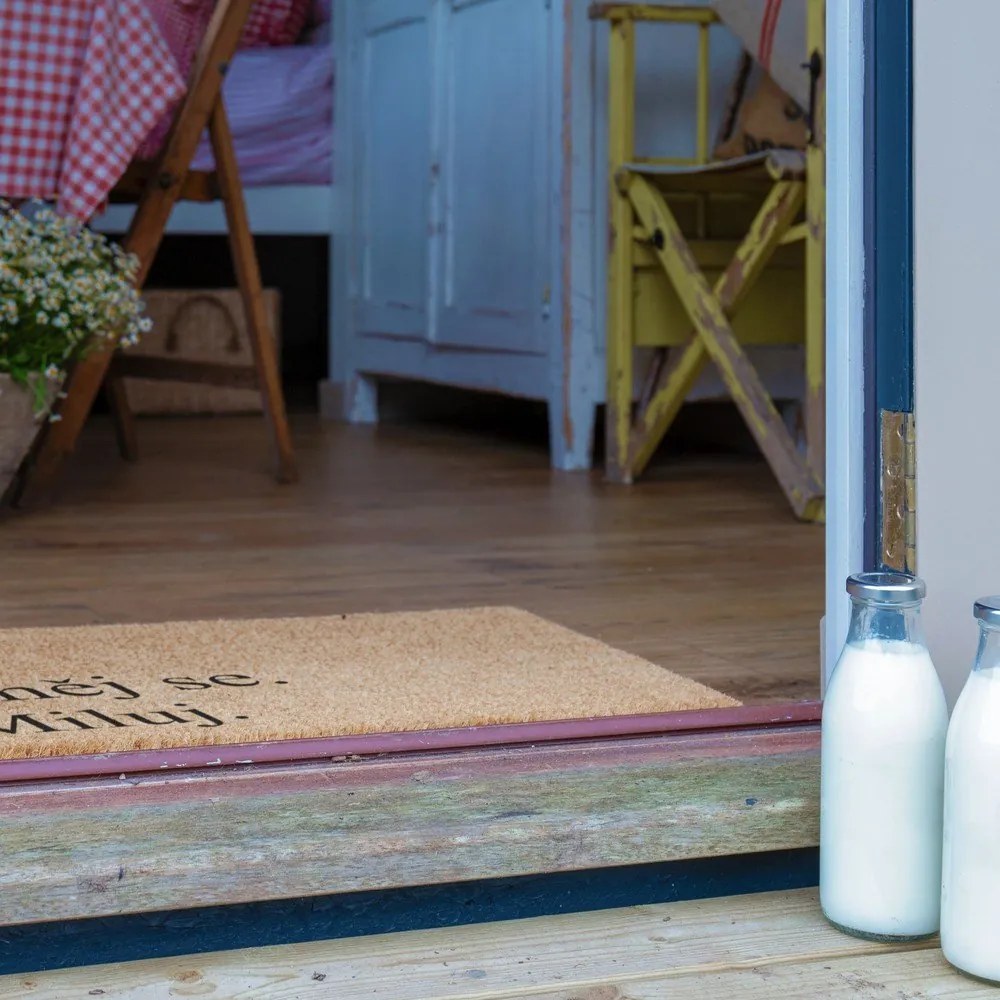 Rohožka z kokosového vlákna 40x60 cm Žij a Miluj – Artsy Doormats