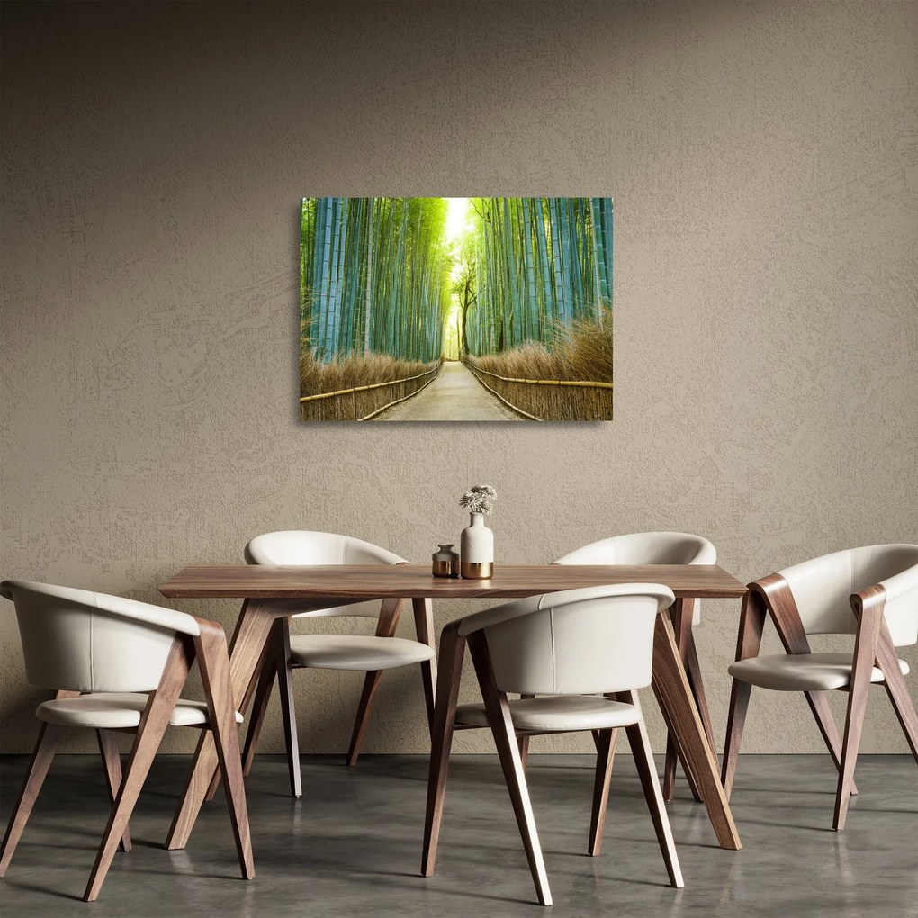 Sklenený obraz - Bambusový les (70x50 cm)