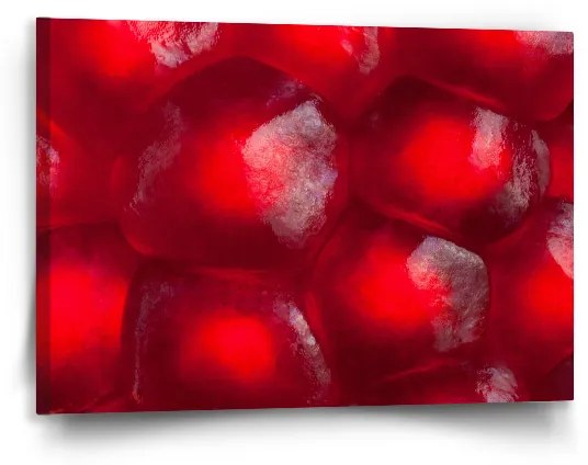 Sablio Obraz Granátové jablko - 90x60 cm
