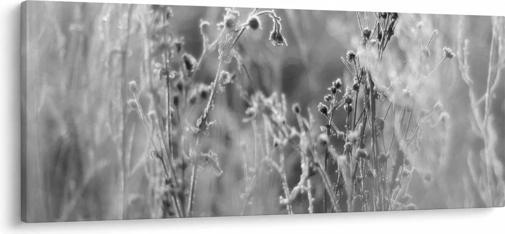Obraz - Divoká lúka (120x50 cm)