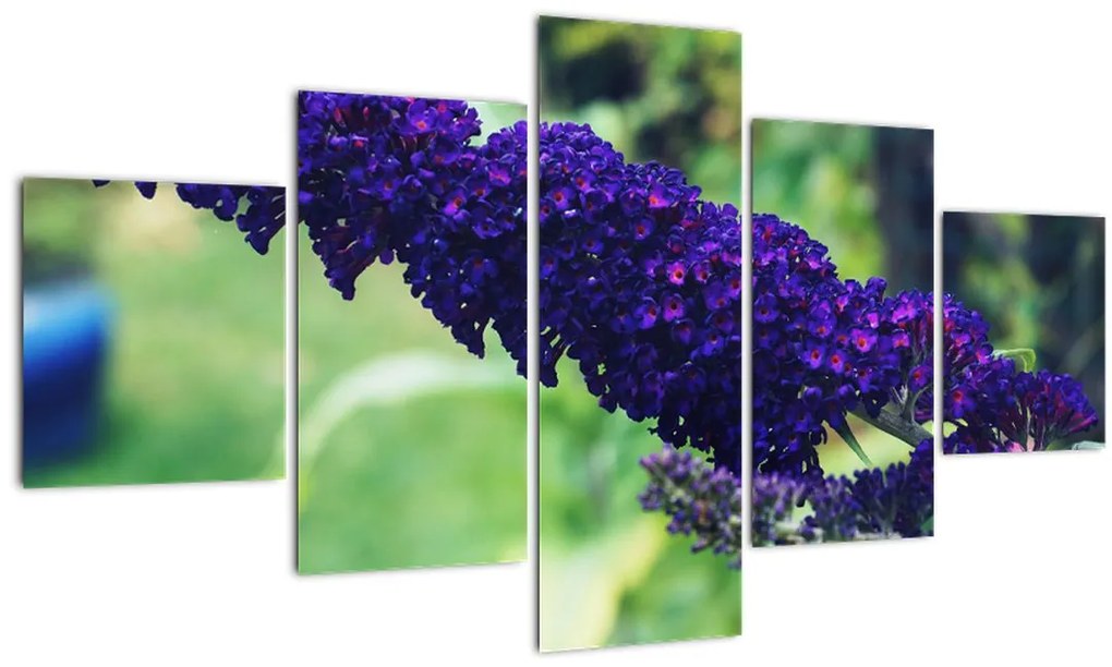 Obraz modrej kvetiny (125x70 cm), 40 ďalších rozmerov