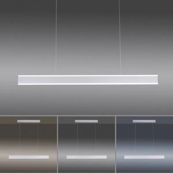 Paul Neuhaus 8363-55 - LED Stmievateľný luster so senzorom ARINA LED/20W/230V