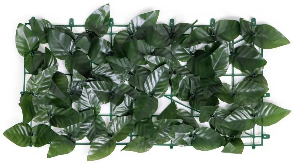 Umelý živý plot z brečtanu 500x50 cm