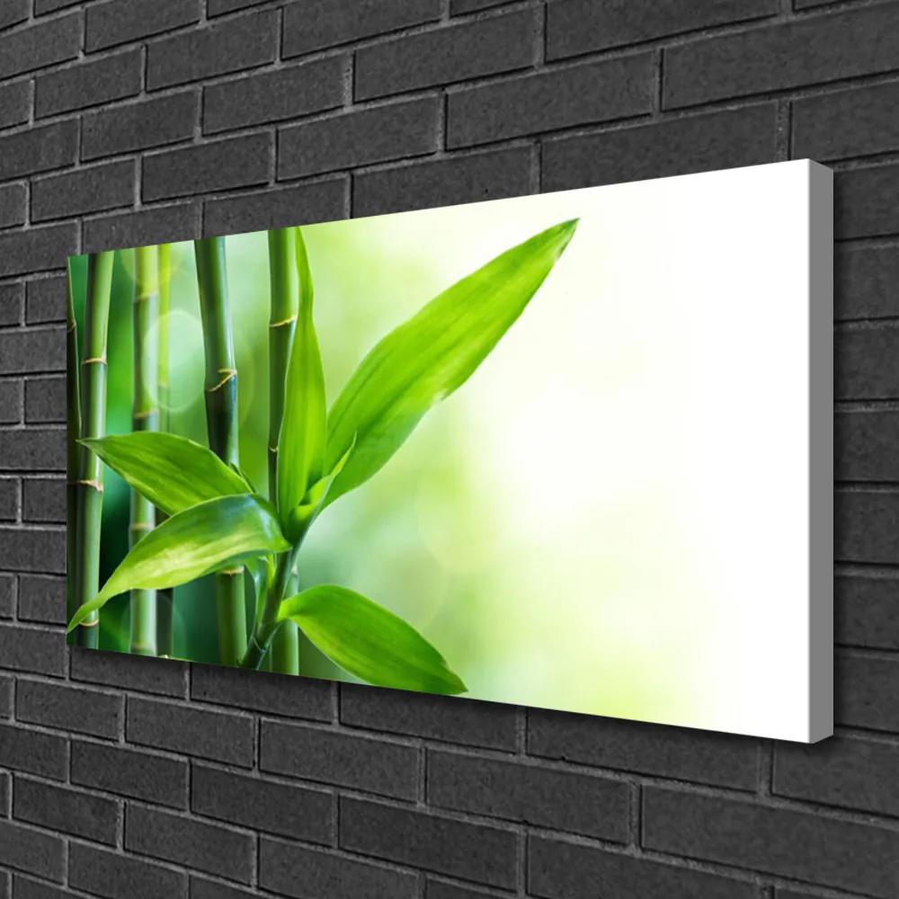 Obraz Canvas Bambus list rastlina príroda 140x70 cm
