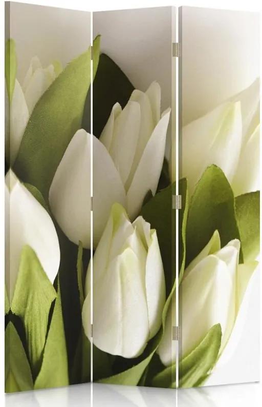 CARO Paraván - White Tulips 2 | trojdielny | obojstranný 110x150 cm