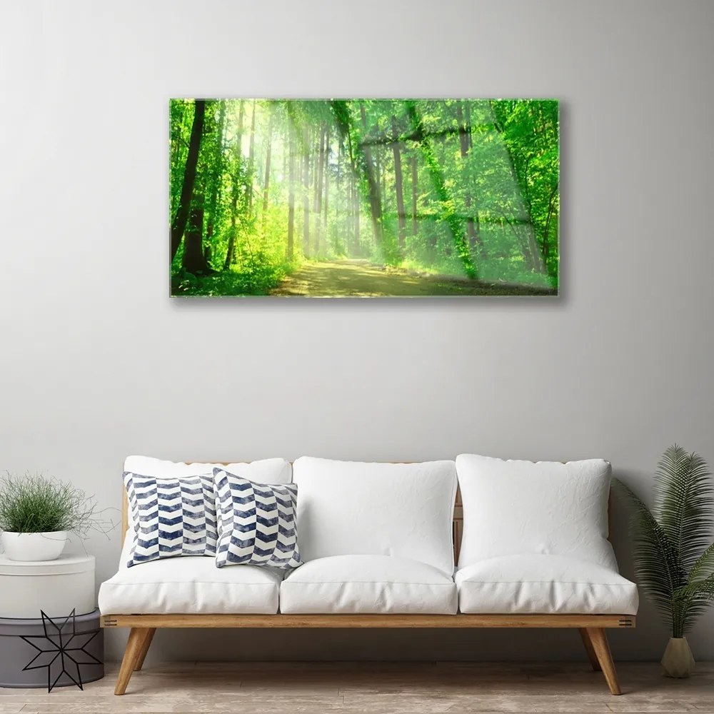 Skleneny obraz Les cestička stromy príroda 125x50 cm