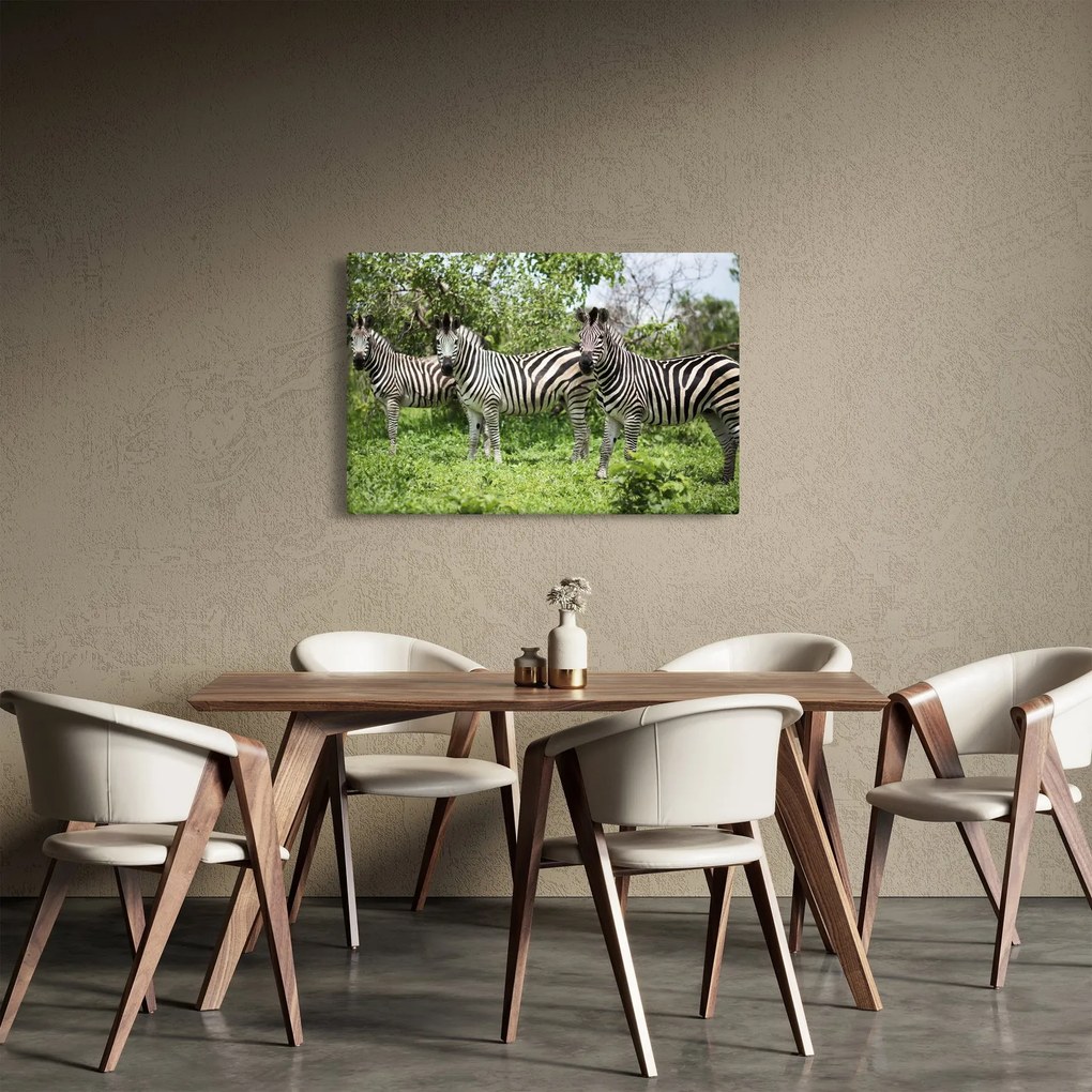 Obraz so zebrami (90x60 cm)