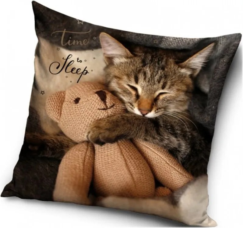 Vankúš Kocúr a medvedík Mr. Beana - 40 x 40 cm