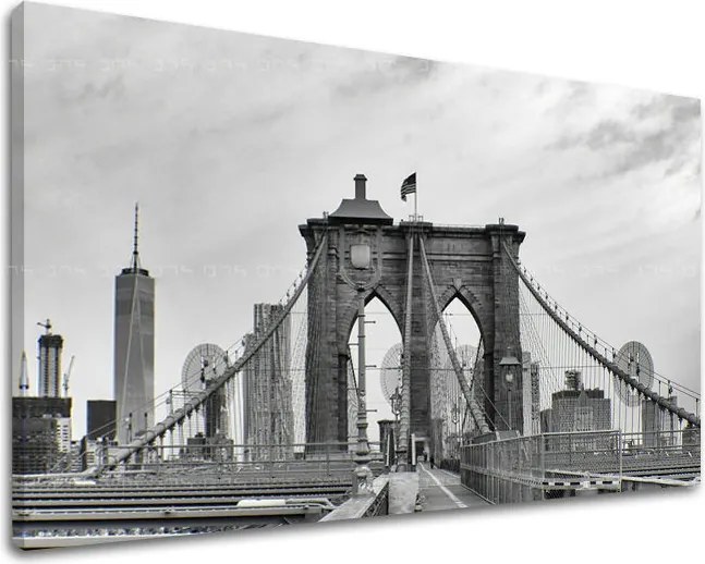 Obraz na stenu MESTO / NEW YORK ME114E11 - 80x120 cm