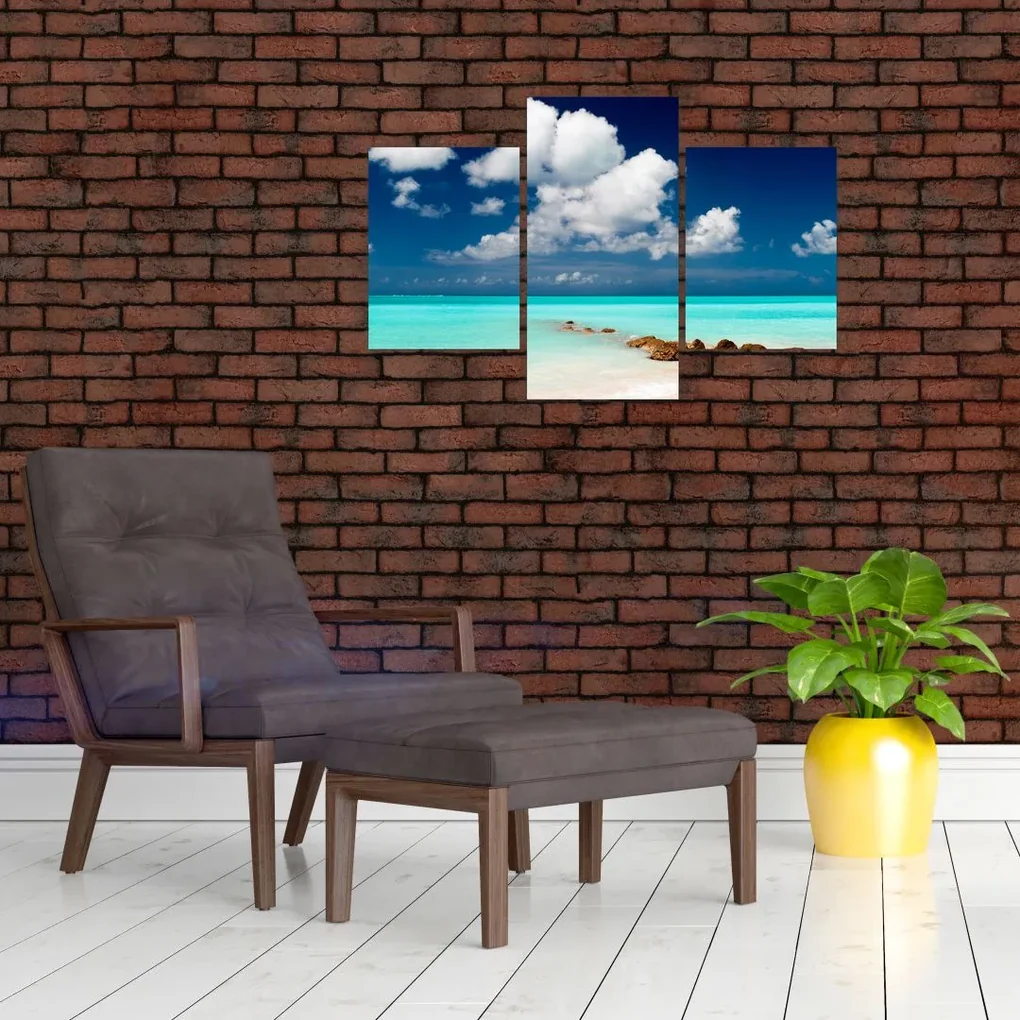 Obraz - Tropická pláž (90x60 cm)