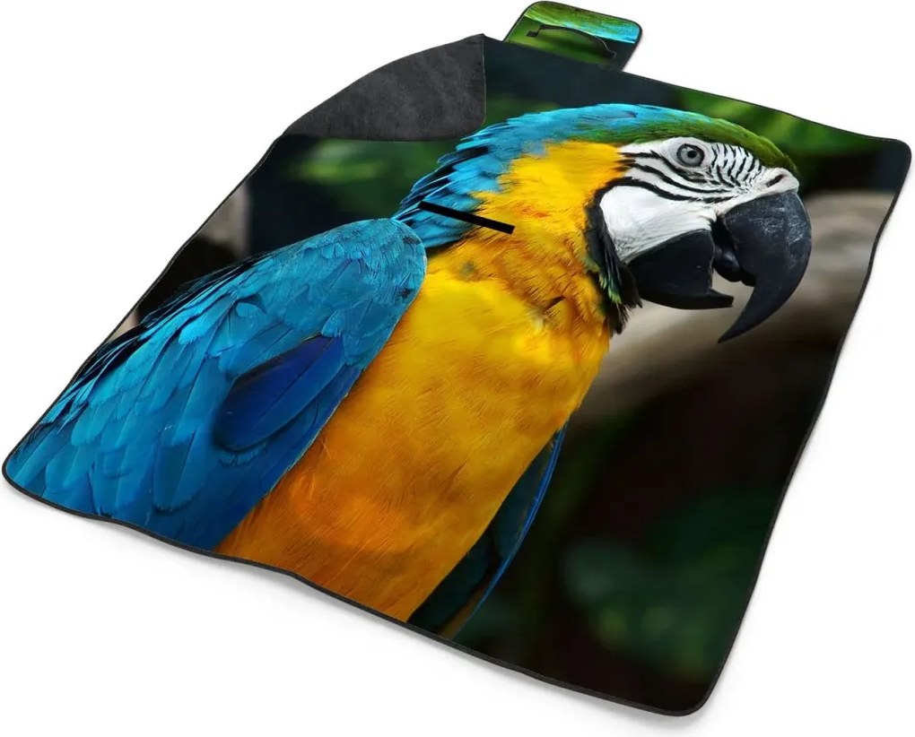 Sablio Plážová deka Ara: 200x140 cm