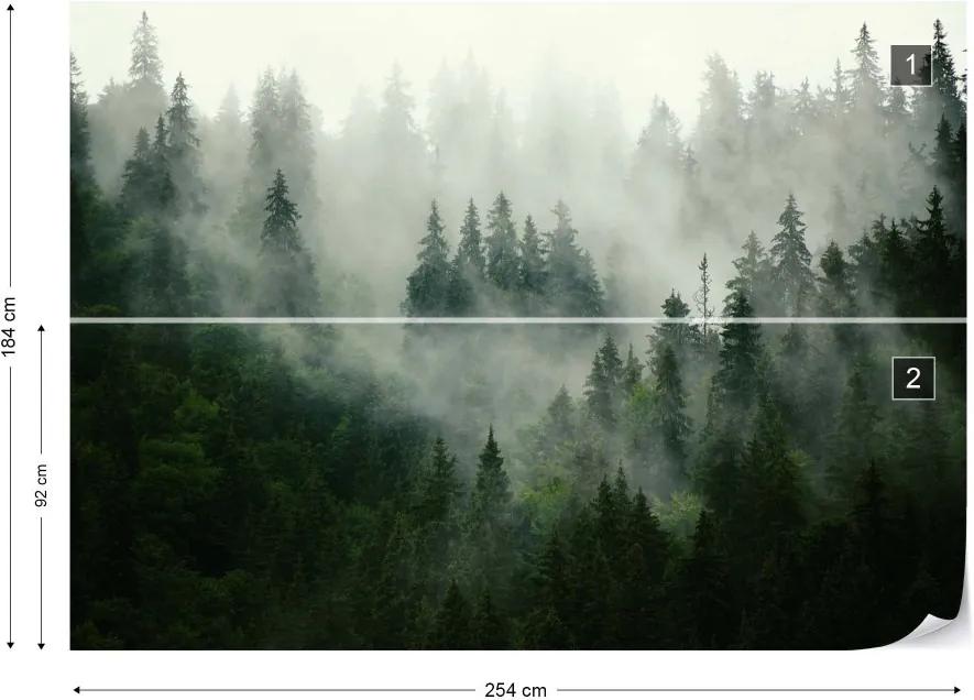 Fototapeta GLIX - Misty Forest + lepidlo ZADARMO Vliesová tapeta  - 254x184 cm