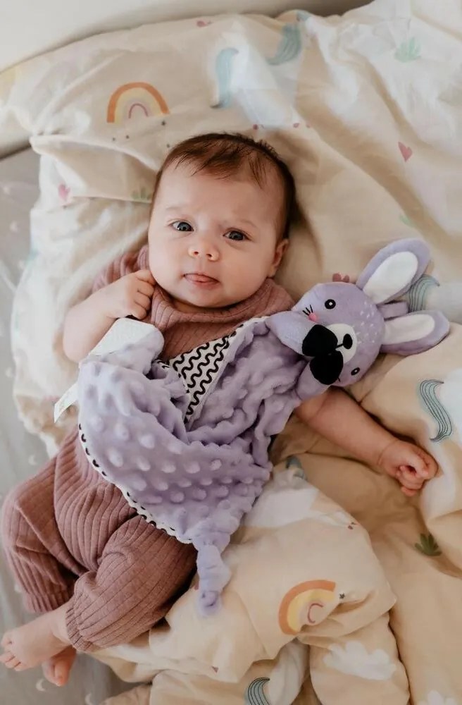 Usínačik babyted Zajačik, hryzátko, hrkálka plyš 25 x 25 cm, fialová