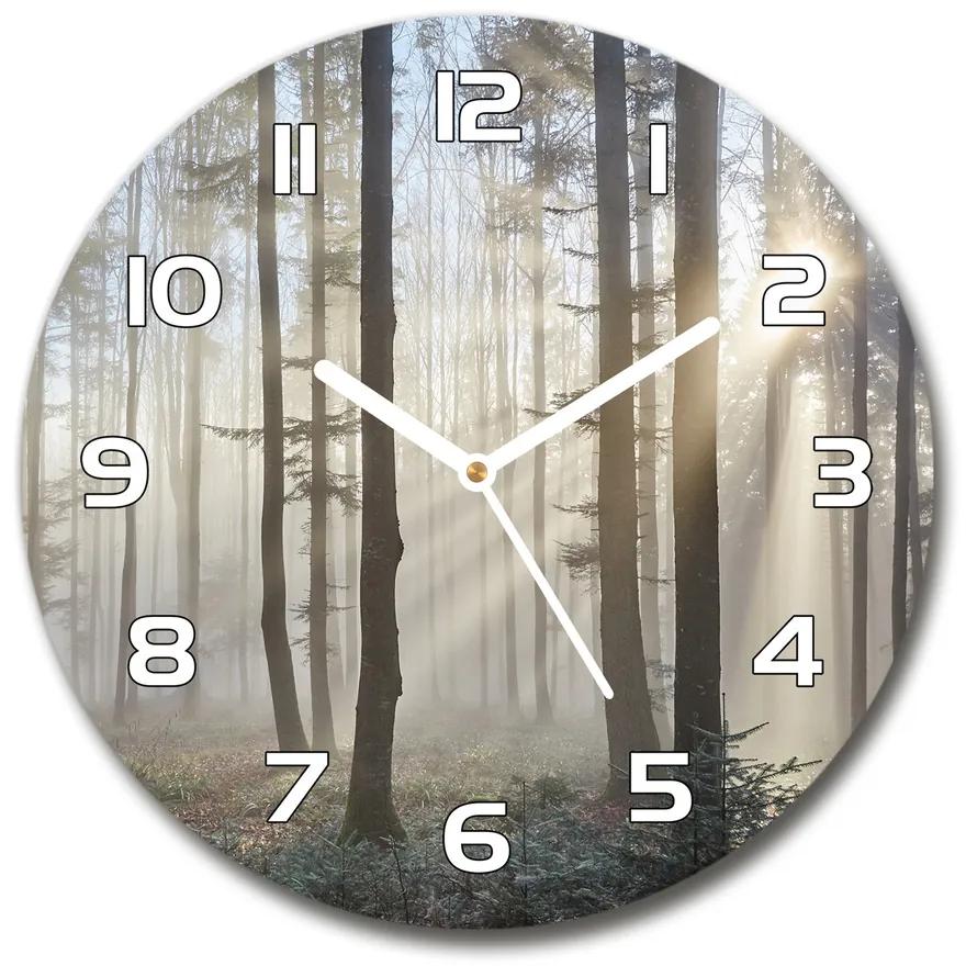 Sklenené hodiny na stenu Hmla v lese pl_zso_30_f_98968412