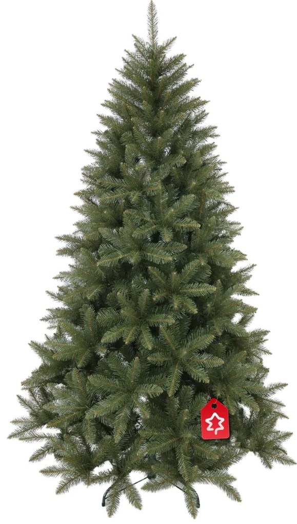 Smrek Kavkazský 150 cm