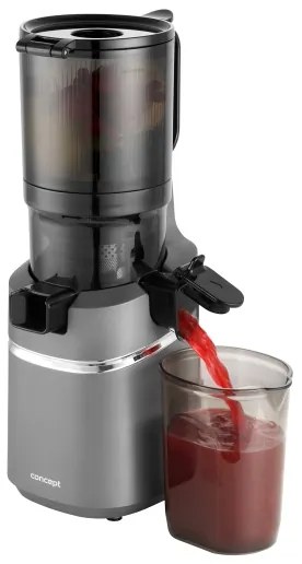 Concept LO7120 - Šnekový odšťavňovač JUICY 250W/230V šedá