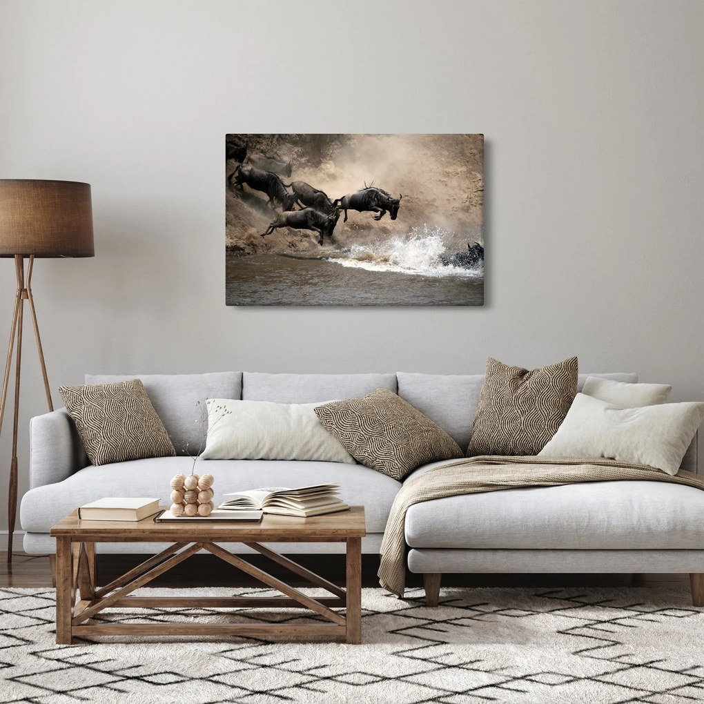Obraz - Stádo pakoňov (90x60 cm)