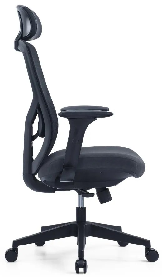 Kancelárska ergonomická stolička PYLON — látka, čierna / viac farieb Modrá Bez podhlavníka
