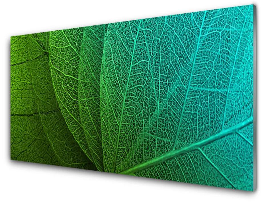 Obraz na skle Abstrakcie listy rastlina 120x60 cm