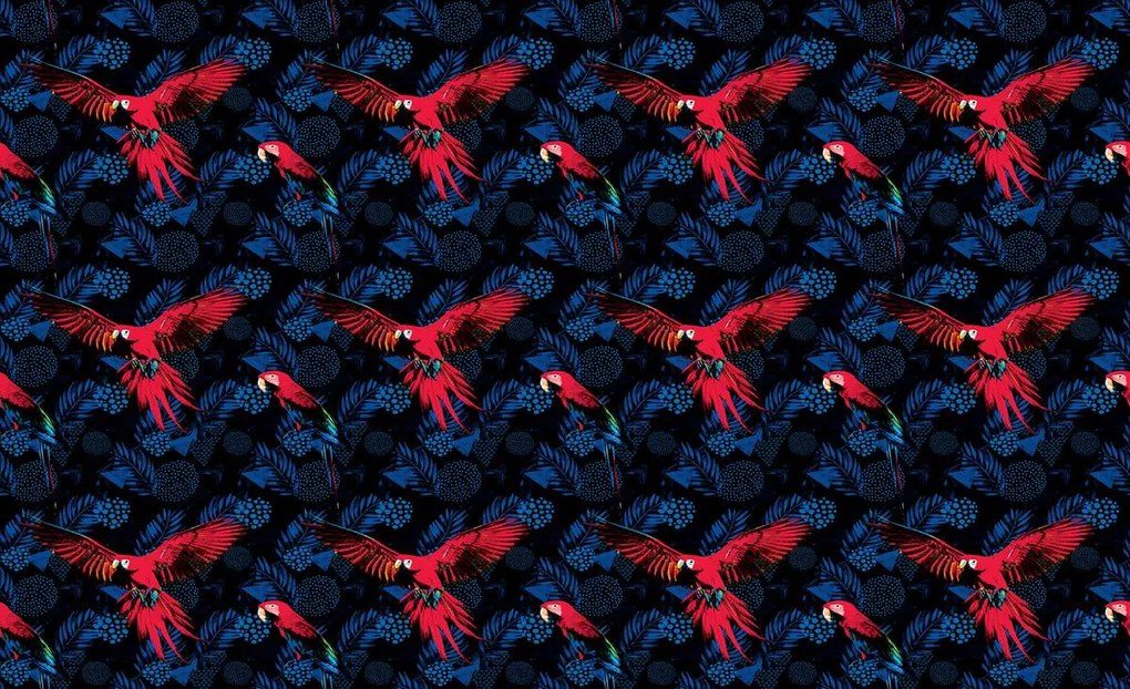 Fototapeta - Papagáj (254x184 cm)