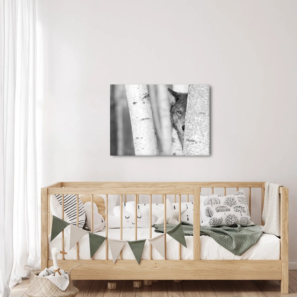 Obraz - Vlk v lese (70x50 cm)