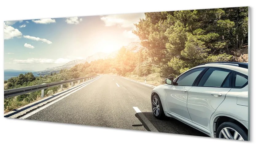 Obraz plexi Hory mraky auto cesty strom 120x60 cm