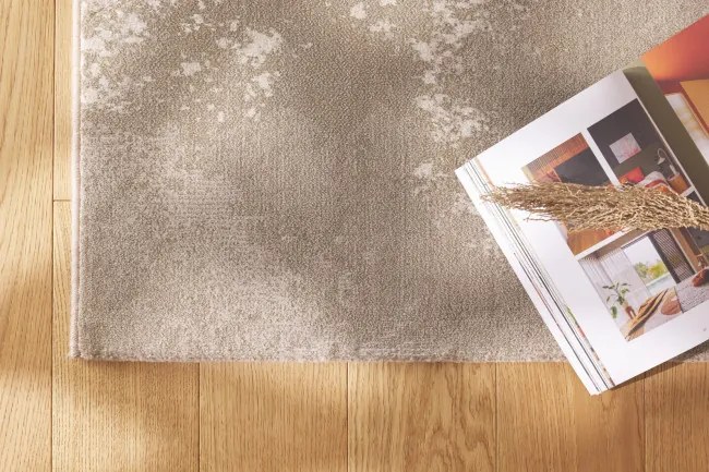 Koberec RAGOLLE Argentum 63934 6575