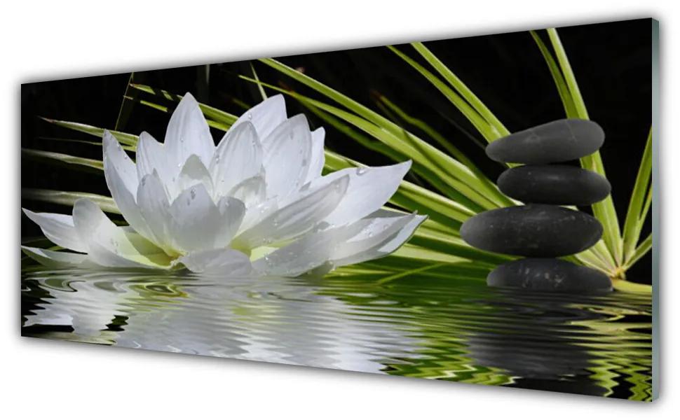 Obraz plexi Kvety kamene zen voda 125x50 cm